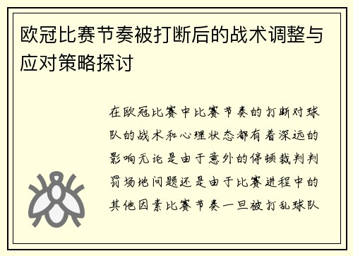 欧冠比赛节奏被打断后的战术调整与应对策略探讨